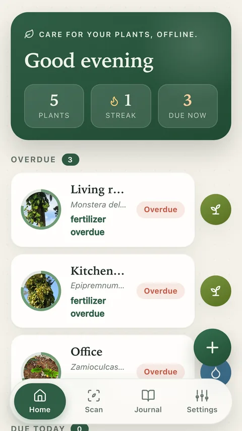 Here is what your plants need.